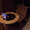 Wバグース(新宿区/ラブホテル)の写真『501号室のテーブルとチェア(1脚)』by 少佐