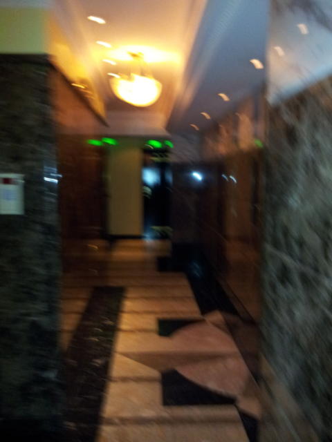HOTEL TIFFARD（ティファード）(新宿区/ラブホテル)の写真『8階廊下』by 少佐