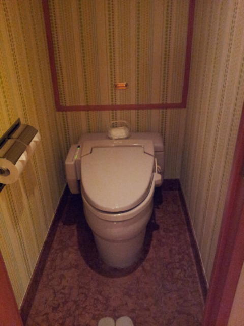 HOTEL TIFFARD（ティファード）(新宿区/ラブホテル)の写真『803号室のトイレ』by 少佐