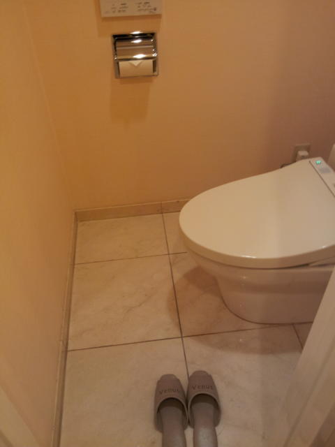 ビーナス(新宿区/ラブホテル)の写真『505号室のトイレ』by 少佐