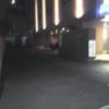 HOTEL Bene(ベーネ)(市川市/ラブホテル)の写真『夜の駐車場入口全景』by ルーリー９nine