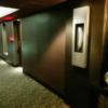 アラウダリゾート国立(国立市/ラブホテル)の写真『５階のエレベーターホールからの廊下』by おむすび