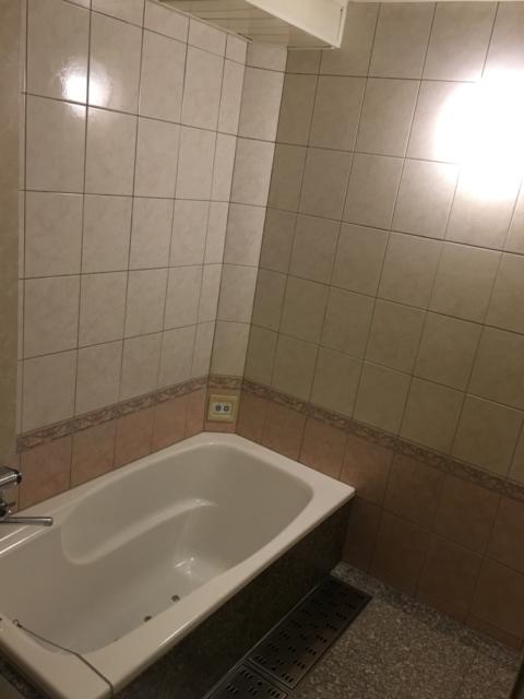 ホテルViVi(相模原市/ラブホテル)の写真『203号室、浴室』by むかい