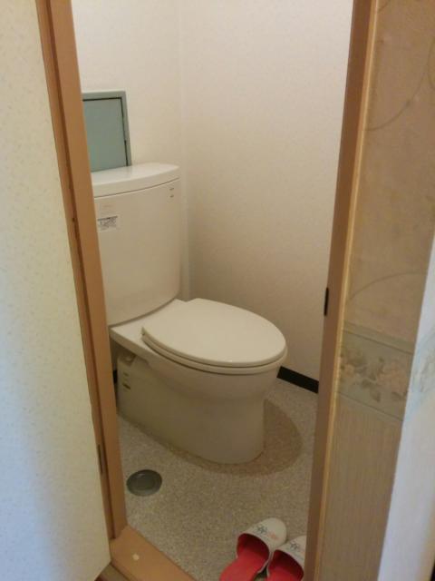 HOTEL ニュー大柿(台東区/ラブホテル)の写真『201号室　トイレ』by 名無しさん（ID:10185）