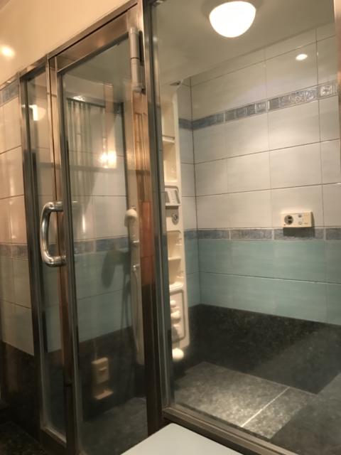 HOTEL TIFFARD（ティファード）(新宿区/ラブホテル)の写真『浴室からのサウナ室』by 少佐