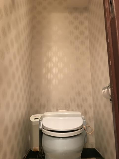 HOTEL TIFFARD（ティファード）(新宿区/ラブホテル)の写真『310号室のトイレ④』by 少佐