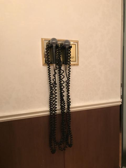 HOTEL TIFFARD（ティファード）(新宿区/ラブホテル)の写真『通信カラオケ用マイク』by 少佐