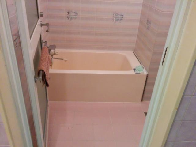 PRINCESS2世(台東区/ラブホテル)の写真『201号室の浴室』by 名無しさん（ID:10185）