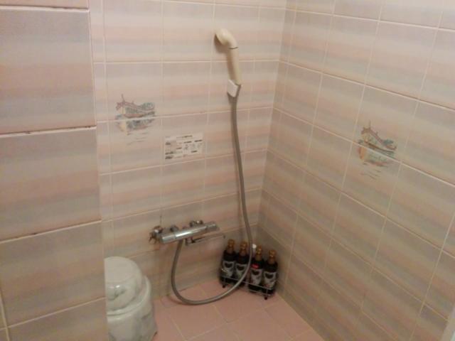 PRINCESS2世(台東区/ラブホテル)の写真『201号室の浴室のシャワー』by 名無しさん（ID:10185）