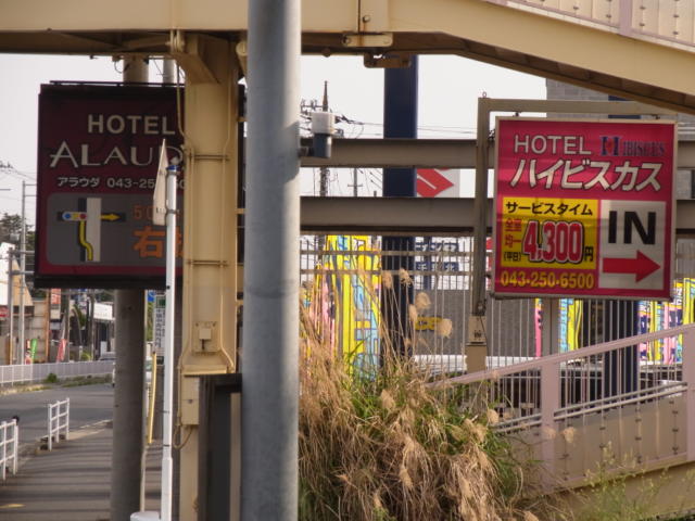 HOTEL RIMBA(千葉市稲毛区/ラブホテル)の写真『周辺の看板は改装前（ハイビスカス）のままです』by ホテルレポったー