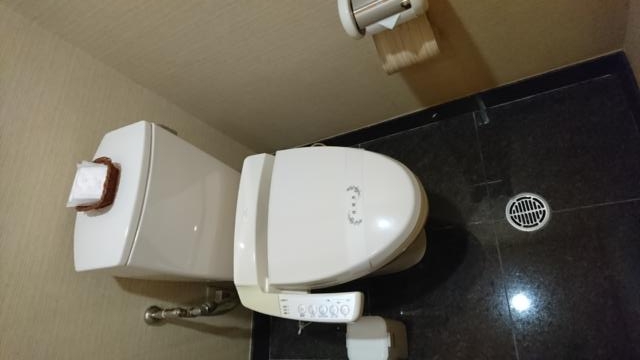PLAZA K(プラザＫ)(八王子市/ラブホテル)の写真『405号室、トイレ』by おむすび