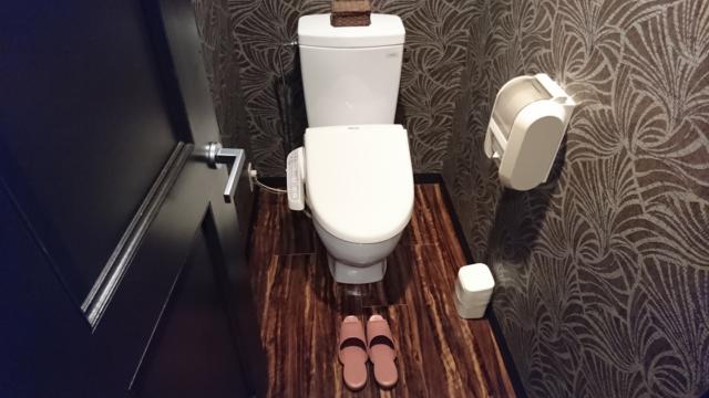 アラウダリゾート国立(国立市/ラブホテル)の写真『310号室、トイレ』by おむすび