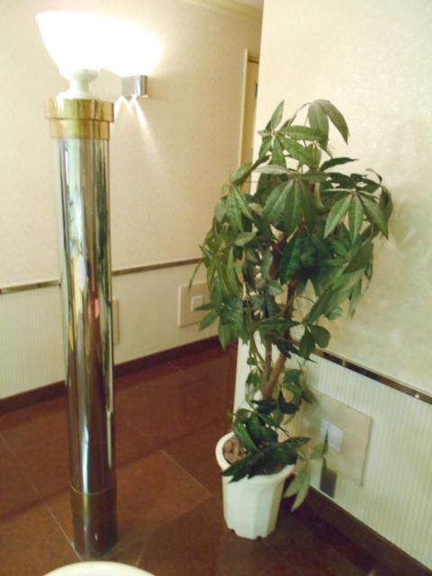 フランセ(八王子市/ラブホテル)の写真『306号室、観葉植物』by もんが～