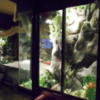 スターリゾートI(入間市/ラブホテル)の写真『107号室、壁のディスプレイ』by もんが～