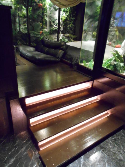 スターリゾートI(入間市/ラブホテル)の写真『107号室、入り口から三段ほどの階段を上がってベッドルームに入るようになっていました。』by もんが～