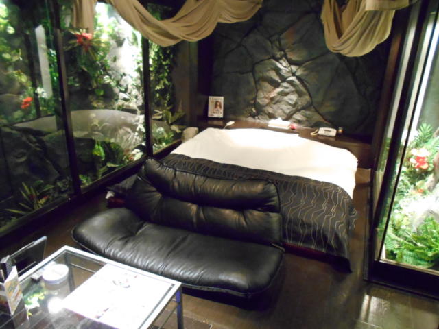 スターリゾートI(入間市/ラブホテル)の写真『107号室、ベッド』by もんが～