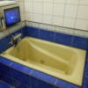Be-ZONE(立川市/ラブホテル)の写真『101号室、浴槽と浴室テレビ』by もんが～
