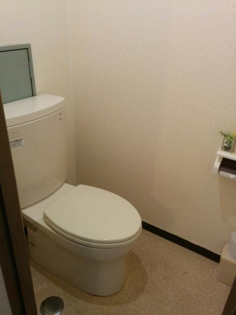 HOTEL ニュー大柿(台東区/ラブホテル)の写真『501号室　トイレ』by 名無しさん（ID:10185）
