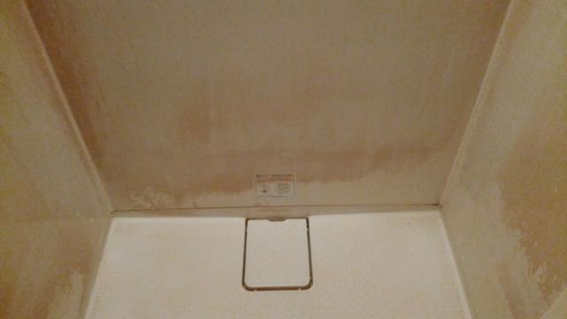 レンタルルーム ROOMS(新宿区/ラブホテル)の写真『11号室　シャワー室の下方』by 上戸 信二
