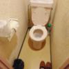 ホテル ナポリ(豊島区/ラブホテル)の写真『302号室のトイレ』by fooo