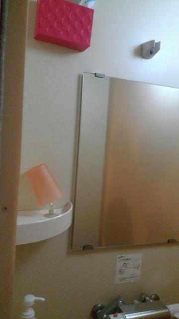 レンタルルーム コスモス(千代田区/ラブホテル)の写真『202号室　シャワー室』by 上戸 信二