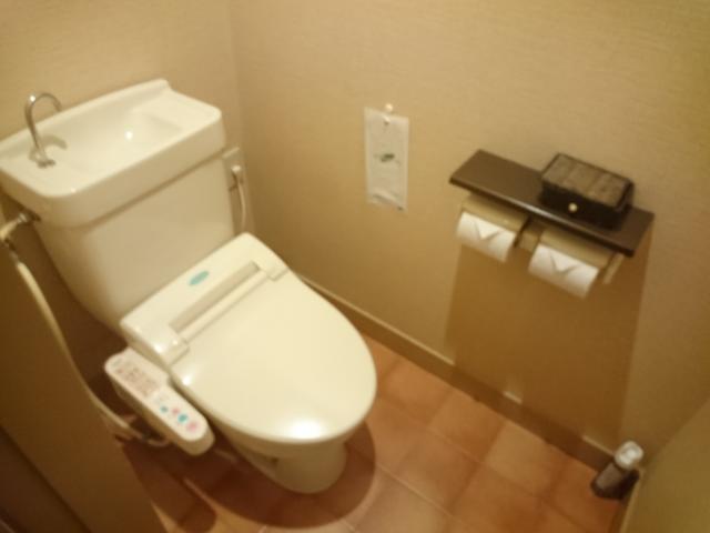 パシオンリゾート(足利市/ラブホテル)の写真『301号室 トイレ』by クーヘン