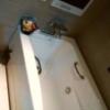 HOTEL EXE（エグゼ）(台東区/ラブホテル)の写真『301号室浴槽近影(テレビ＆入浴剤タップリ❤｡+ﾟ(*ノ∀｀)ｱﾊﾊ こんなに居らんがな！)』by オレの地雷を越えてゆけ！