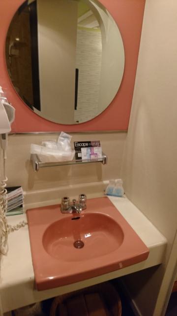 PRINCESS1世(プリンセスイッセイ)(文京区/ラブホテル)の写真『303号室 玄関から見て左側にトイレと洗面台』by ＬＳＰＤ
