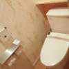 フェアリーキッス(宇都宮市/ラブホテル)の写真『115号室　トイレ』by INA69