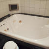 フェアリーキッス(宇都宮市/ラブホテル)の写真『115号室　超巨大浴槽』by INA69