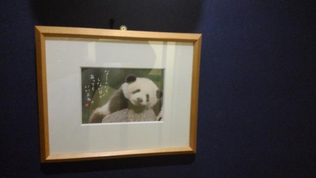 レンタルルーム コスモス(千代田区/ラブホテル)の写真『105号室　壁にパンダの写真』by 上戸 信二