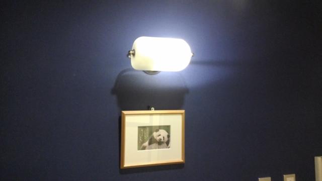 レンタルルーム コスモス(千代田区/ラブホテル)の写真『105号室　照明とパンダの写真』by 上戸 信二