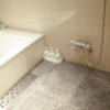 HOTEL Lapis（ラピス）(大田区/ラブホテル)の写真『307号室　浴室全景』by INA69
