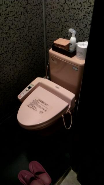 ホテル レインボー(富里市/ラブホテル)の写真『308号室 トイレ』by かーたー