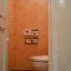 APIO(アピオ)(台東区/ラブホテル)の写真『311号室：トイレ』by オレの地雷を越えてゆけ！
