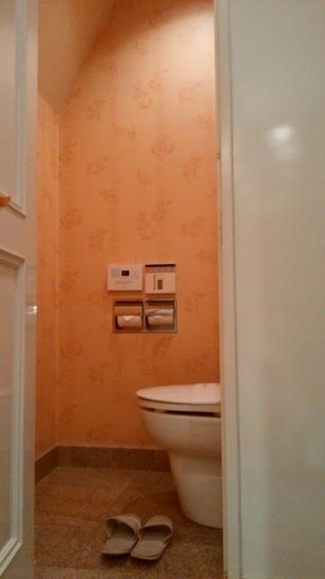 APIO(アピオ)(台東区/ラブホテル)の写真『311号室：トイレ』by オレの地雷を越えてゆけ！