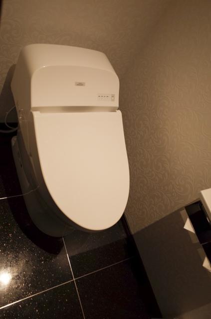 HOTEL SEKITEI(葛飾区/ラブホテル)の写真『403号室　トイレ』by INA69