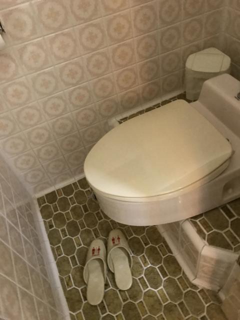 HOTEL BON（ボン）(新宿区/ラブホテル)の写真『101号室のトイレ③』by 少佐