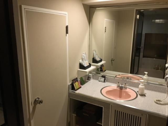ホテル グッドワン(さいたま市大宮区/ラブホテル)の写真『305号室 洗面台』by アホ犬