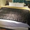 HOTEL GRANSKY（グランスカイ）(墨田区/ラブホテル)の写真『407号室ベッド』by ミド丸