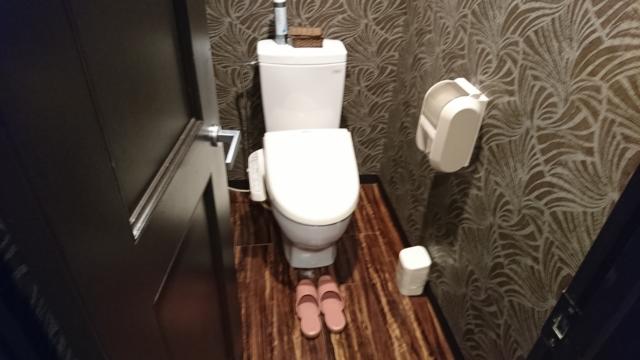 アラウダリゾート国立(国立市/ラブホテル)の写真『310号室、トイレ』by おむすび