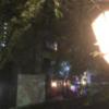四条ホテル（シジョウホテル）(京都市下京区/ラブホテル)の写真『高瀬川を挟んでの夜の外観』by 少佐