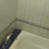 ビアンカドゥエ(豊島区/ラブホテル)の写真『501号室、浴室。』by くんにお