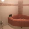 池袋パークサイドホテル(豊島区/ラブホテル)の写真『602号室浴室』by 114114bandp