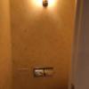 HOTEL TIFFARD（ティファード）(新宿区/ラブホテル)の写真『212号室のトイレの中③』by 少佐
