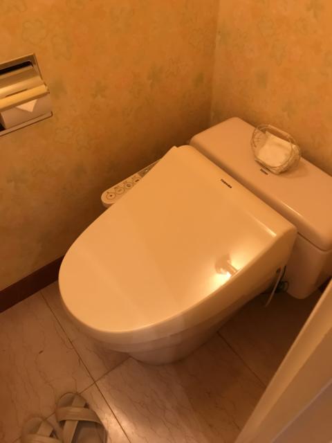 HOTEL TIFFARD（ティファード）(新宿区/ラブホテル)の写真『212号室のトイレの中①』by 少佐