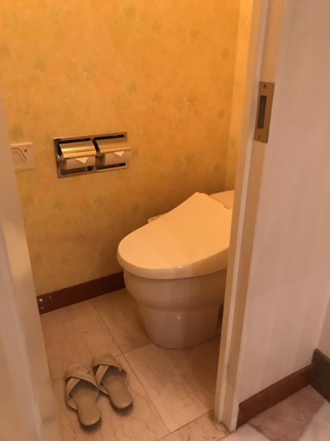 HOTEL TIFFARD（ティファード）(新宿区/ラブホテル)の写真『212号室のトイレの中②』by 少佐