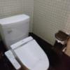ホテルViVi(相模原市/ラブホテル)の写真『407号室 トイレ』by チップスター