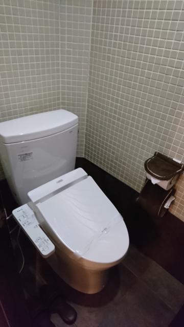 ホテルViVi(相模原市/ラブホテル)の写真『407号室 トイレ』by チップスター