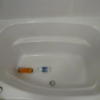 ホテルスマイル(豊島区/ラブホテル)の写真『101号室（浴槽です。ジェットバスではありません。ペットボトルを並べると４本分くらいの大きさであることがわかります）』by 格付屋
